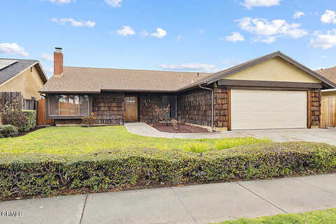 Bottlebrush, OXNARD, CA 93030