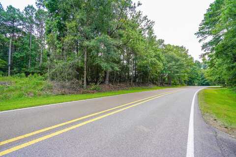 00 HWY 48, Sandy Hook, MS 39478
