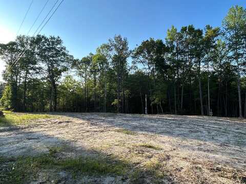 216 Forest Lake, Beaumont, MS 39423