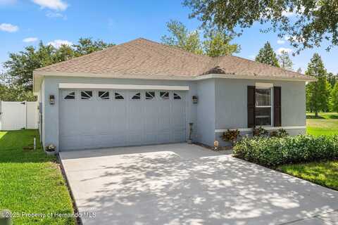 32201 Brookstone Drive, Wesley Chapel, FL 33545