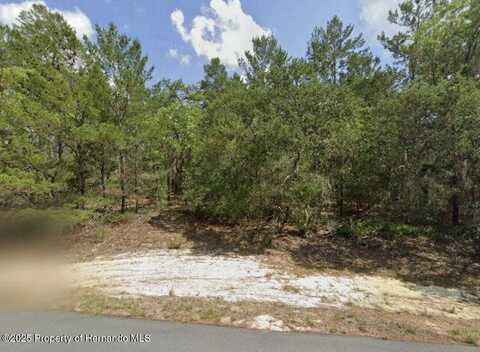 4393 W Cameo Lane, Citrus Springs, FL 34433