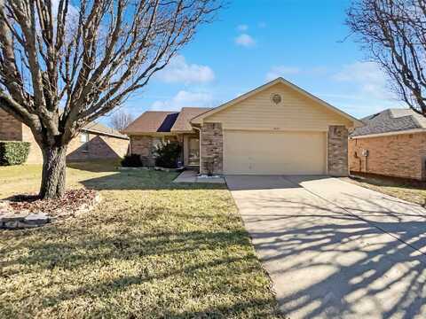 Wild Creek, DALLAS, TX 75253