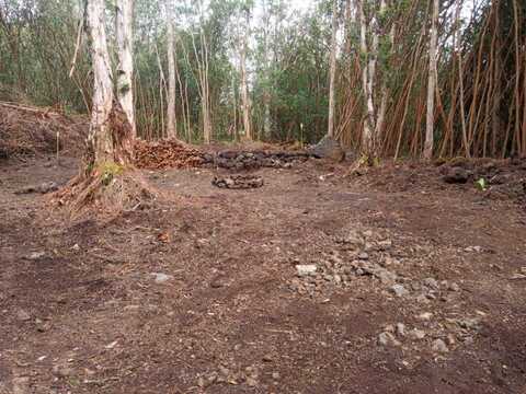 MOLOKAI ST, PAHOA, HI 96778