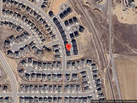 Crossbill, BERTHOUD, CO 80513