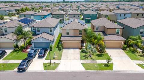 Evening Primrose, TAMPA, FL 33619