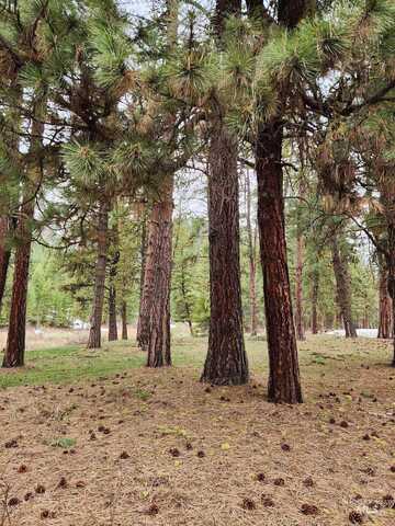 Tbd Trinity Creek Road, Featherville, ID 83647