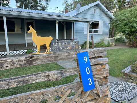 Llama, GOLDENDALE, WA 98620