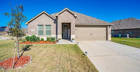 Scout, WAXAHACHIE, TX 75165