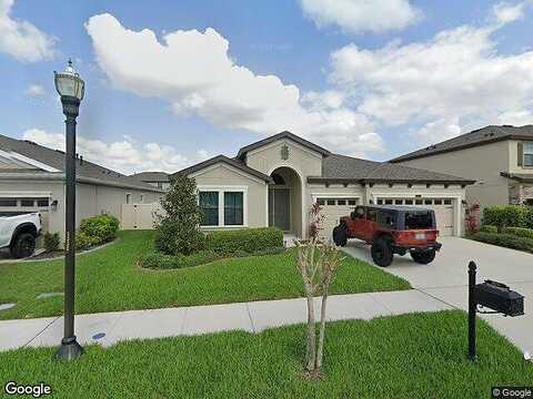 Briske Morning, LAND O LAKES, FL 34637