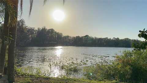 Rowland, ODESSA, FL 33556