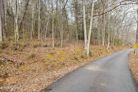 King Rd, Gatlinburg, TN 37738