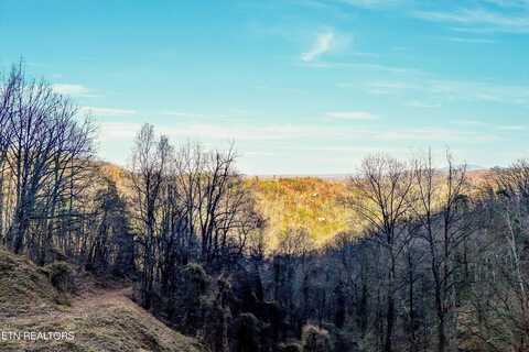 Lots 6,7 Balsam Slopes Rd, Sevierville, TN 37862