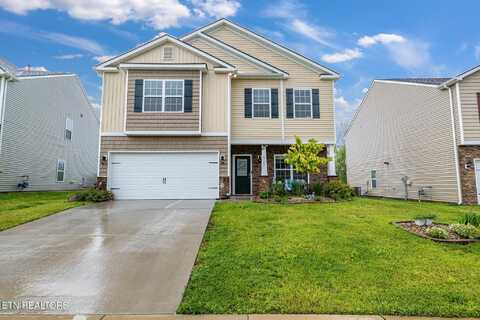 6167 Pembridge Rd, Knoxville, TN 37912