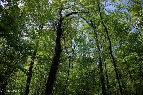 405 Carta Rd, Knoxville, TN 37914