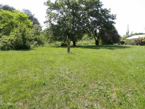 Old Rutledge Pike, Blaine, TN 37709