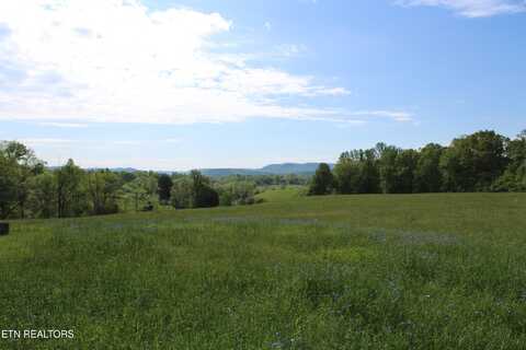 N York Hwy, Pall Mall, TN 38577