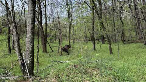 00 Mary Lane, Rutledge, TN 37861