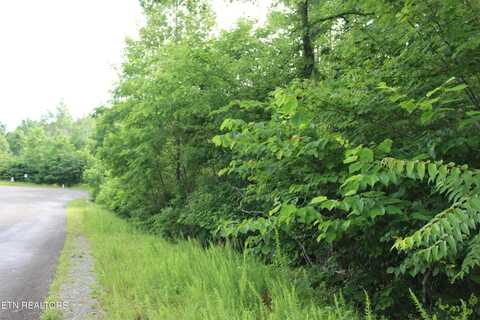 Graphite Court, New Tazewell, TN 37825