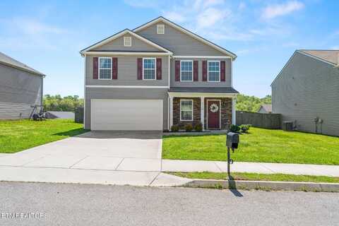 7126 Forest Willow Lane, Corryton, TN 37721