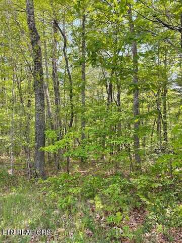 258 Westchester Drive, Crossville, TN 38558