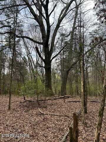 907 Stephanie Lane, Athens, TN 37303
