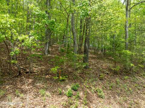 211 Wahuhu Lane, Loudon, TN 37774