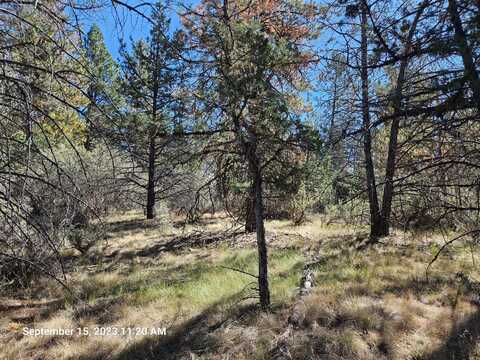 0 Jaguar Lane, Bonanza, OR 97623