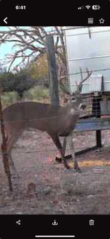 Tract 5 Other, Eden, TX 76837
