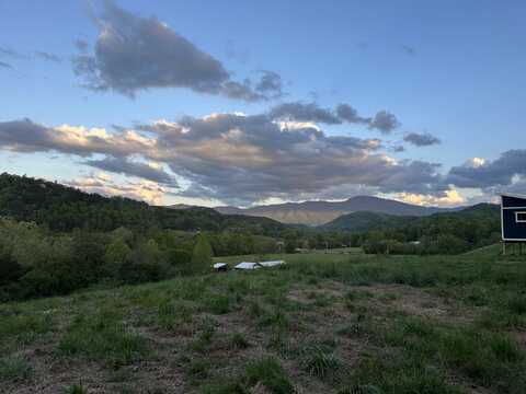 367 Catnip Road, Del Rio, TN 37727