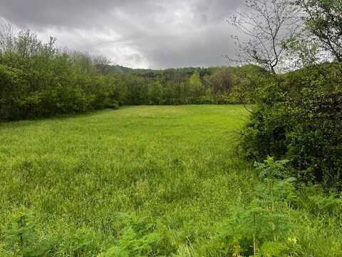 Fowler Grove Road, Newport, TN 37821