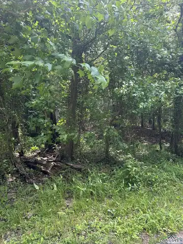 Lot 521 TBD Eagle Bluff Loop, Avinger, TX 75630