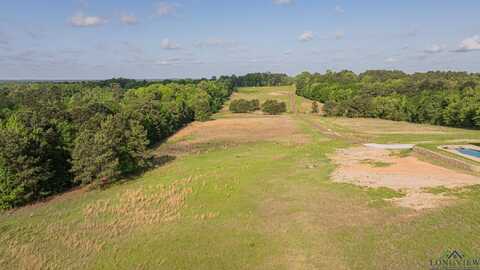 1112 Firetower Rd, Hallsville, TX 75650