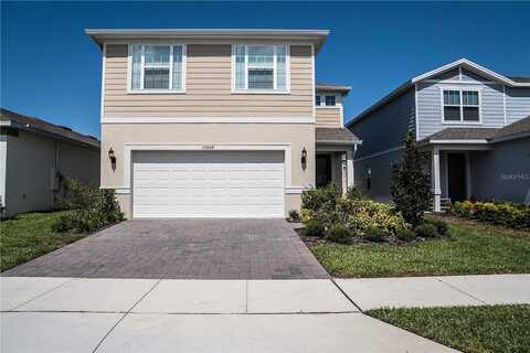 Saw Palmetto, CLERMONT, FL 34714