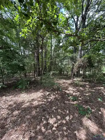 TBD Quanah Dr., Avinger, TX 75630