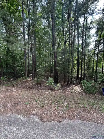 Lot 526 TBD Eagle Bluff Loop, Avinger, TX 75630