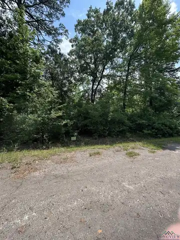 Lot 539 TBD Eagle Bluff Loop, Avinger, TX 75630