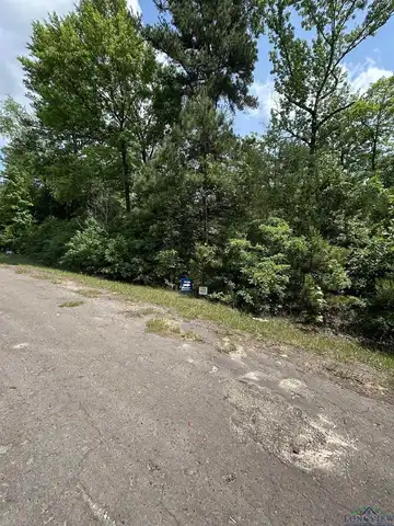 Lot 538 TBD Eagle Bluff Loop, Avinger, TX 75630