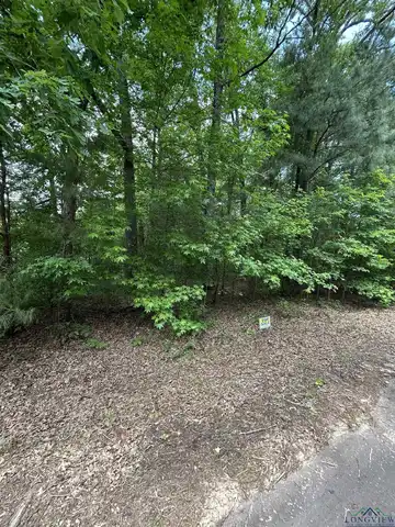 Lot 561 TBD Eagle Bluff Loop, Avinger, TX 75630
