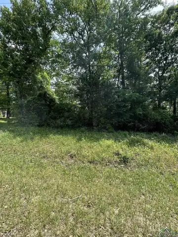 Lot 386 TBD Eagle Bluff Loop, Avinger, TX 75630