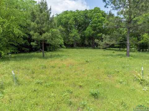 Tbd CR 2255, Tyler, TX 75708