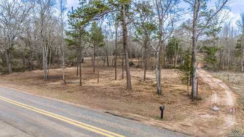 Tbd FM 838, Overton, TX 75684