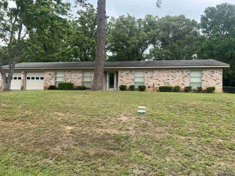 613 Gemi Dr, Pine Tree, TX 75604