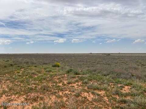 0000 County Road 460, Brownfield, TX 79316