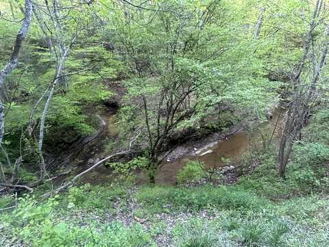 9999 Saddler Road, Manchester, KY 40962