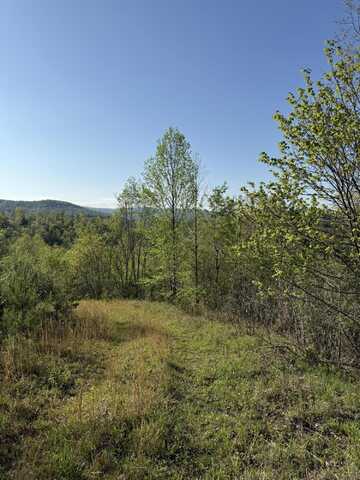 1 Low Gap Road, Pine Knot, KY 42635