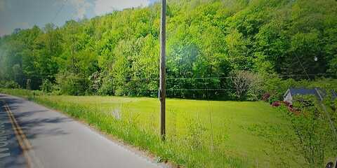 0 Wolf Creek Road, Wooton, KY 41776