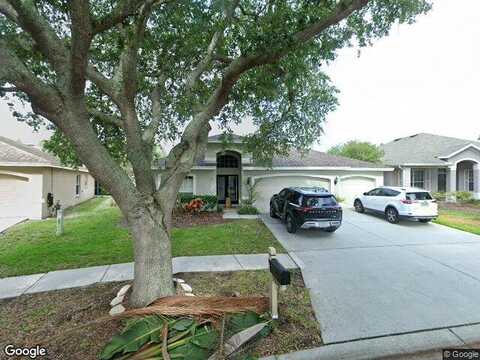 Morden Blush, LUTZ, FL 33558