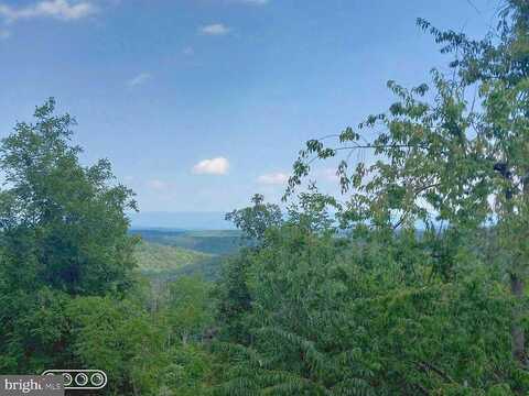 Supinlick Ridge, MOUNT JACKSON, VA 22842
