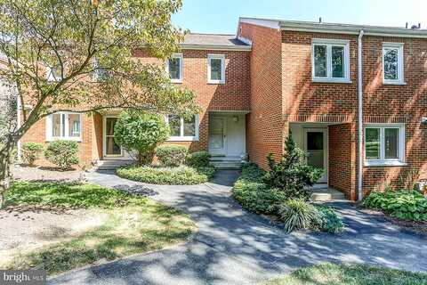Dogwood, MOUNTVILLE, PA 17554