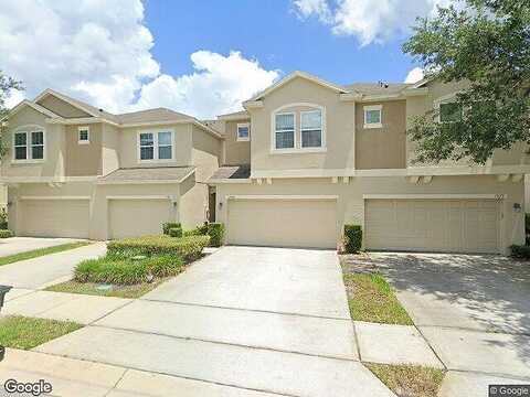 Purple Plum, OVIEDO, FL 32765